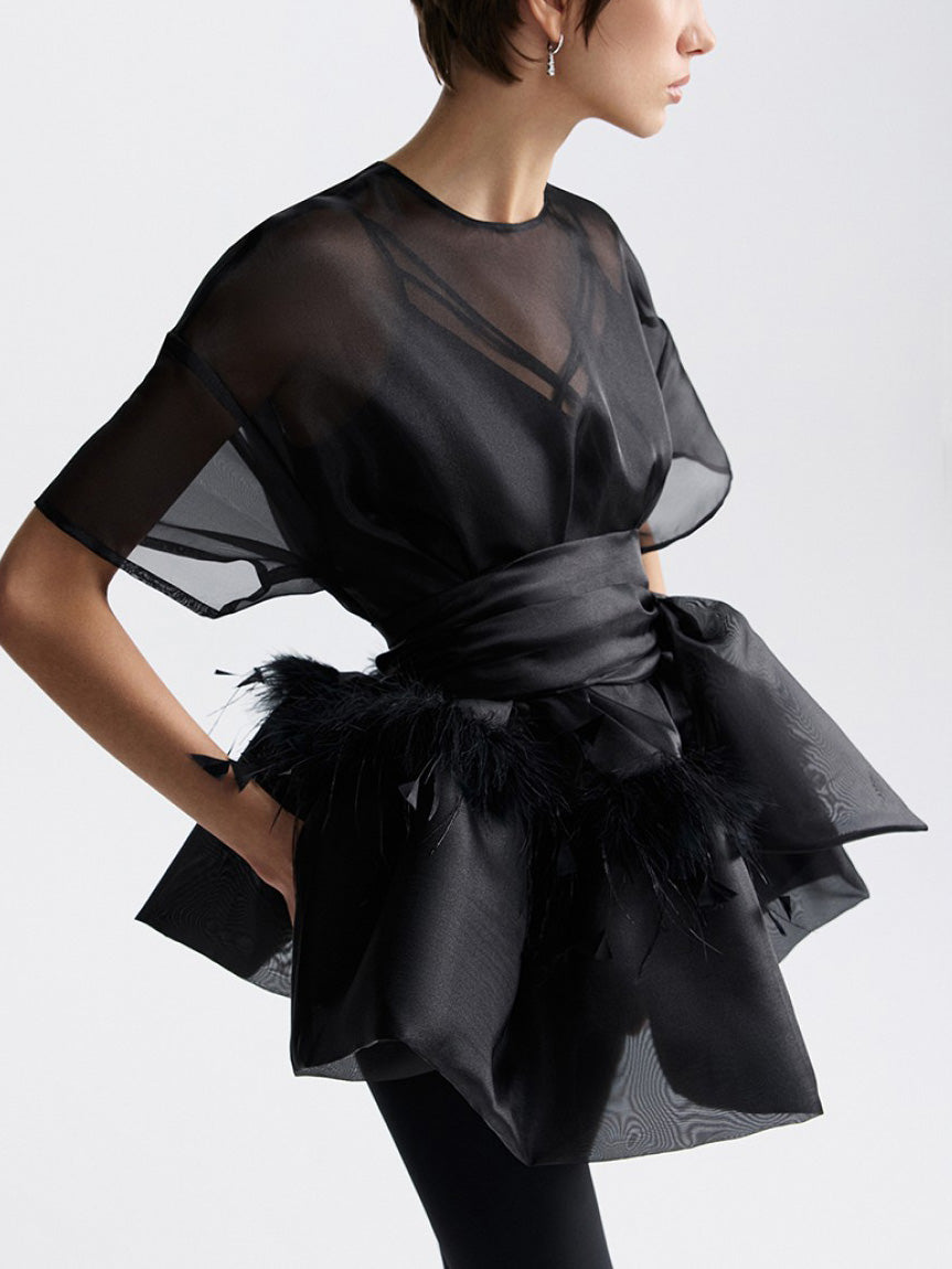 Elegant Feather Organza Top Two-Piece Set