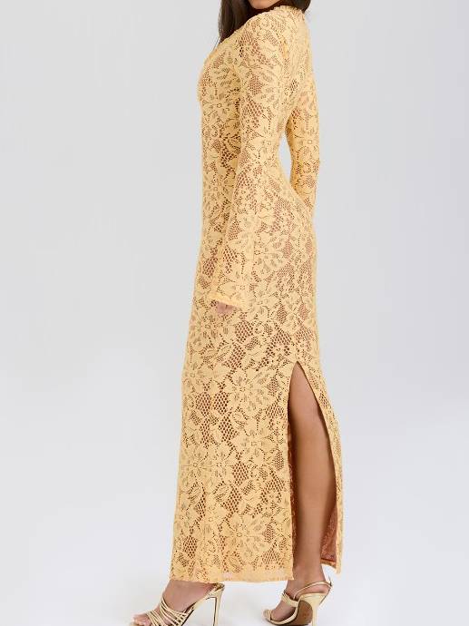 V-Neck Lace Long Sleeve Maxi Dress