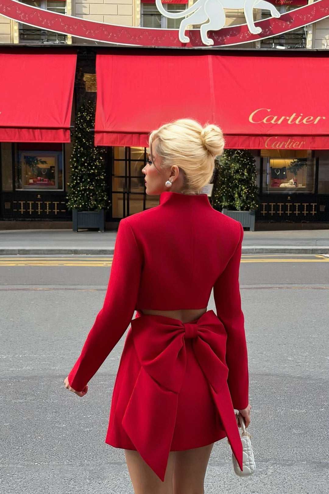 Stand Collar Bow Design Mini Dress