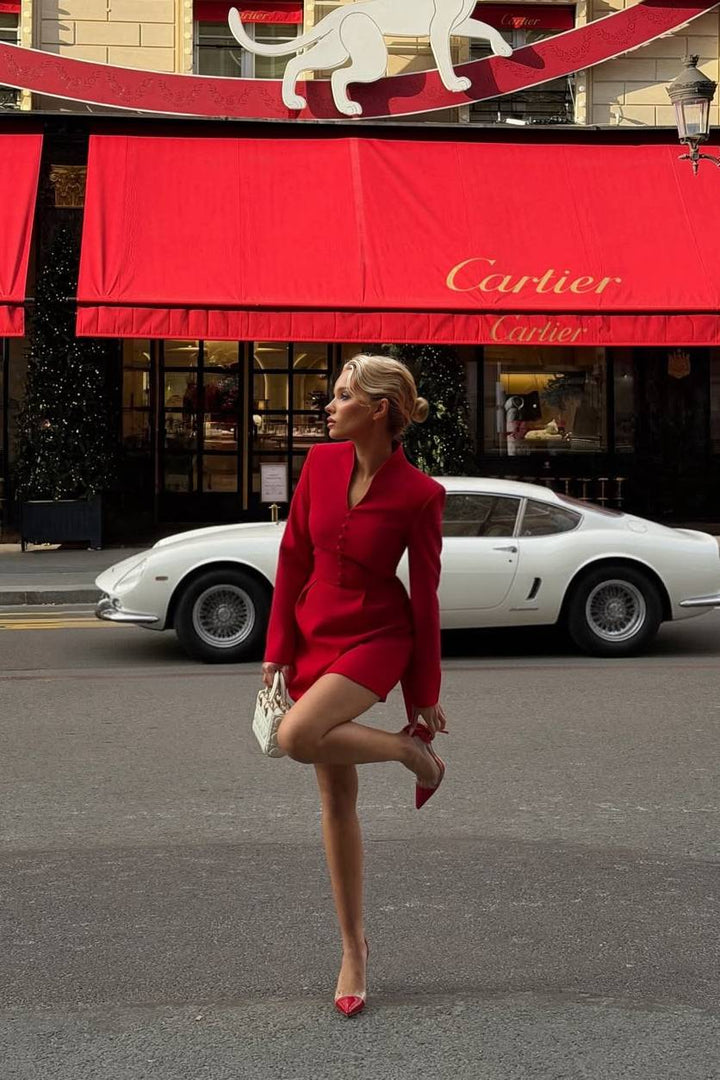 Stand Collar Bow Design Mini Dress