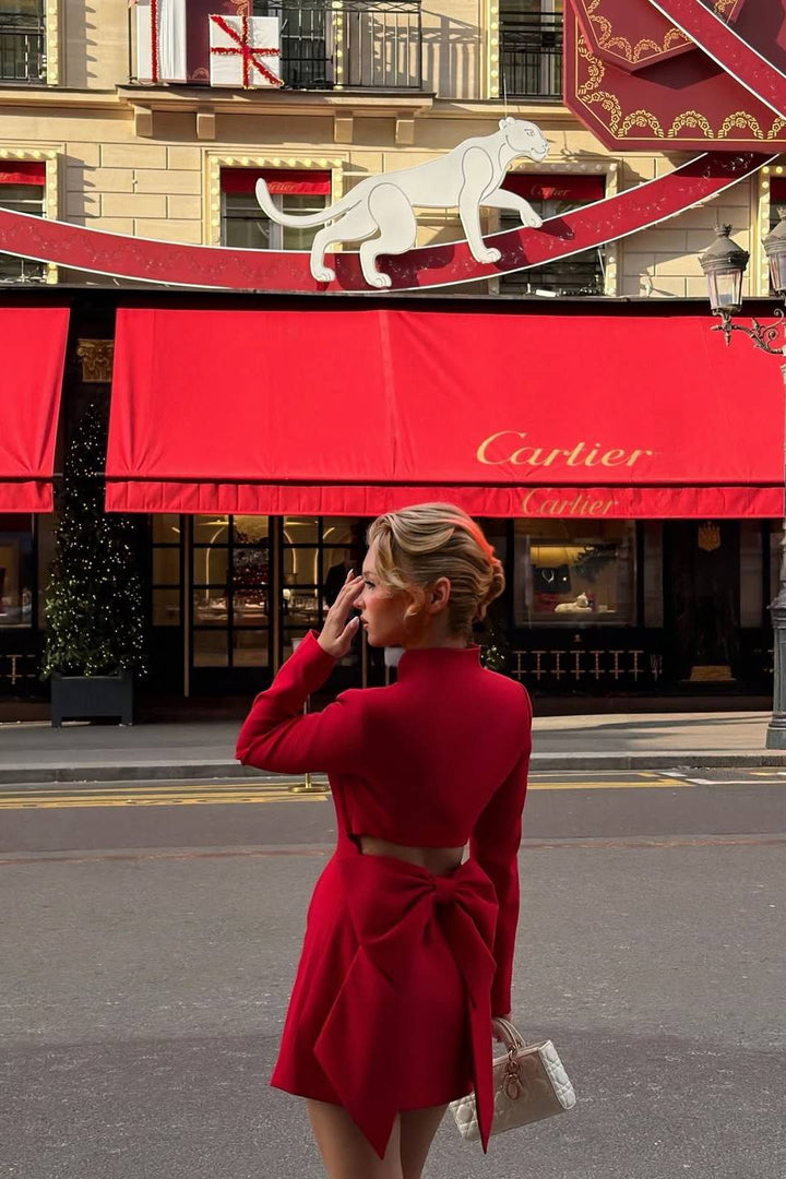 Stand Collar Bow Design Mini Dress