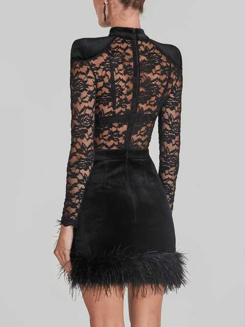 Elegant Lace Sheer Hip Mini Dress