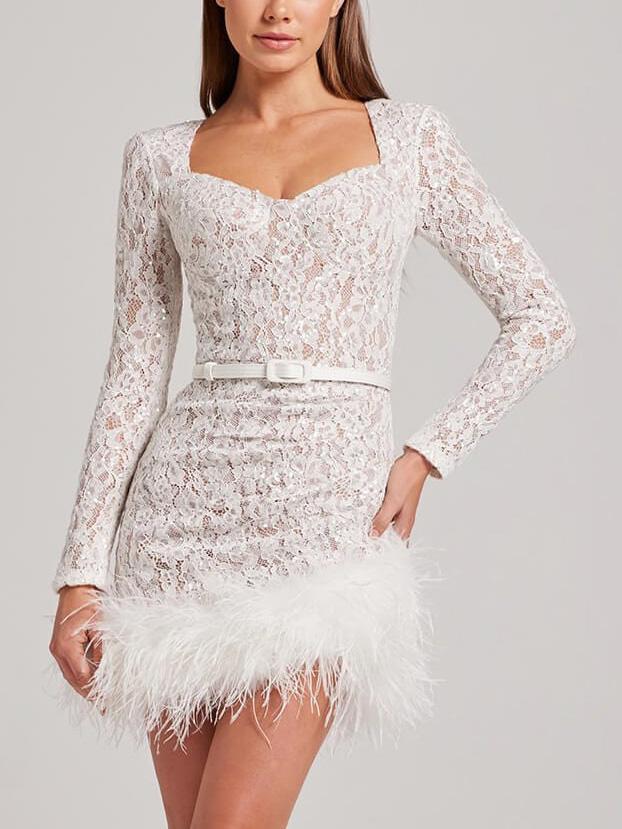 Elegant Sexy Lace Furry Mini Dress